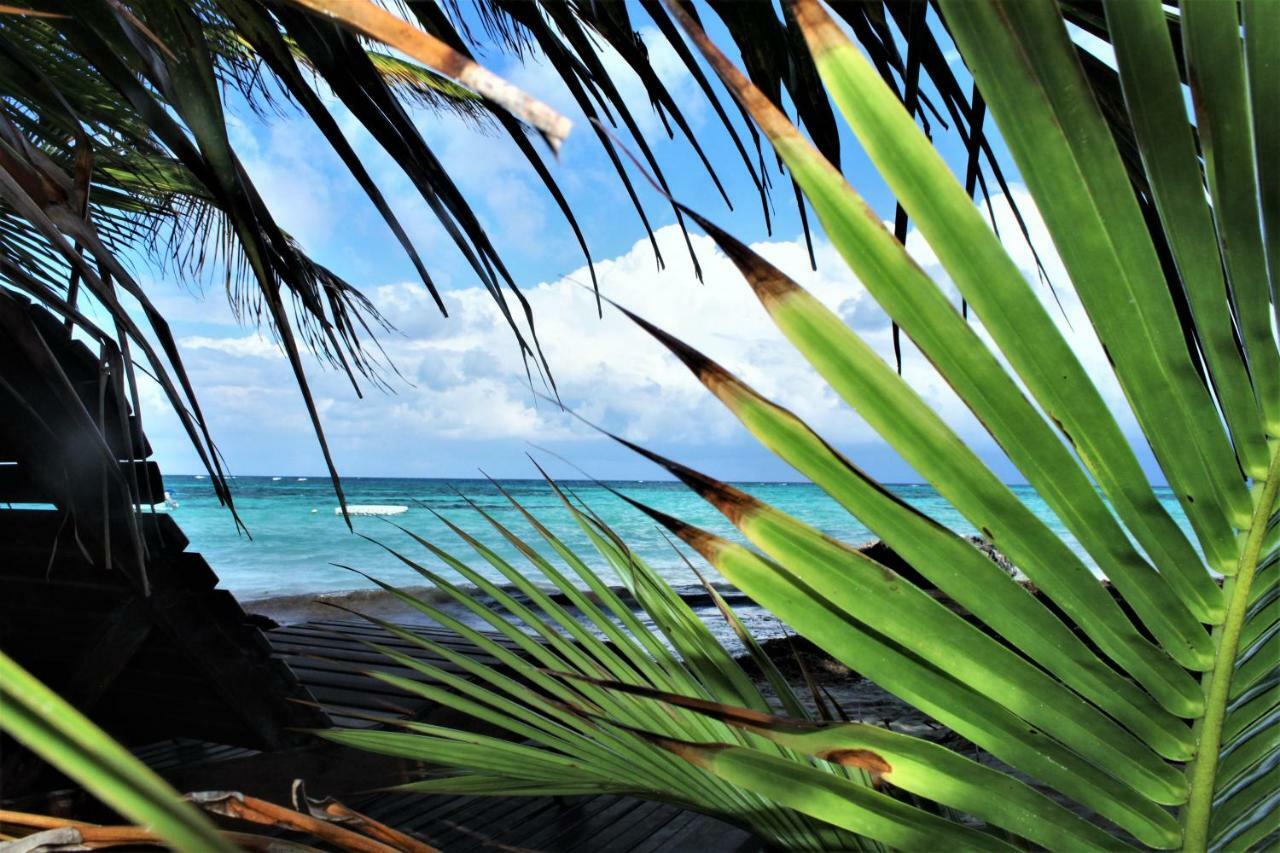 Little Corn Island Beach And Bungalow Exterior photo